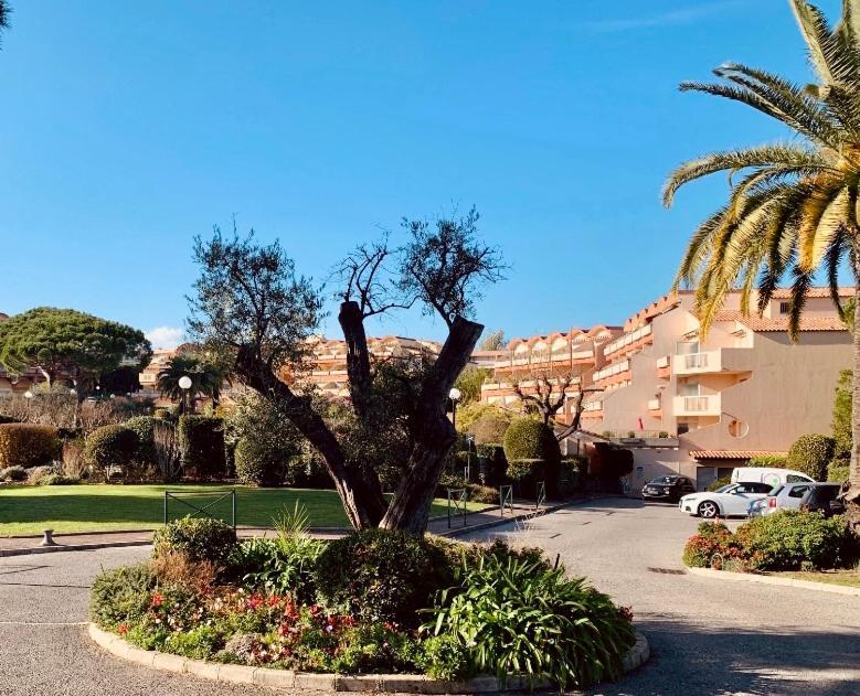Antibes Secured Parc Velusine With Private Parking, Terrace, Pools And Tennis Courts. Zewnętrze zdjęcie