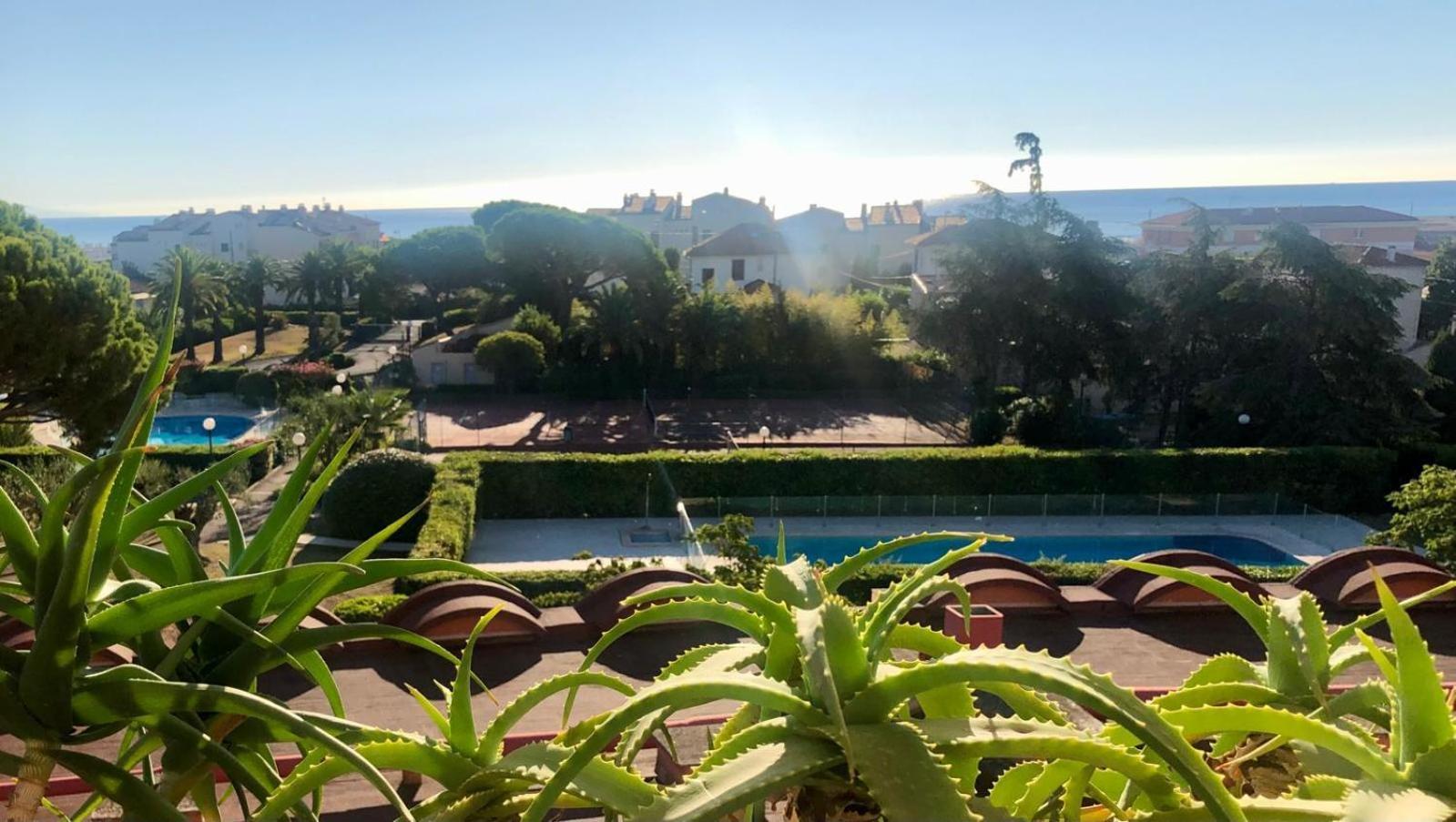 Antibes Secured Parc Velusine With Private Parking, Terrace, Pools And Tennis Courts. Zewnętrze zdjęcie